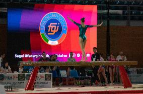 ALTRO - Ginnastica - Coppa Campioni - Ginnastica Artistica Maschile e Femminile