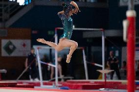 ALTRO - Ginnastica - Coppa Campioni - Ginnastica Artistica Maschile e Femminile