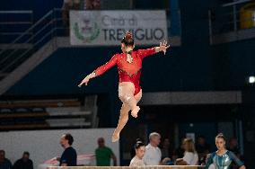 ALTRO - Ginnastica - Coppa Campioni - Ginnastica Artistica Maschile e Femminile