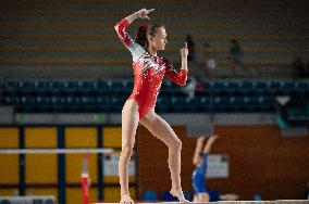 ALTRO - Ginnastica - Coppa Campioni - Ginnastica Artistica Maschile e Femminile