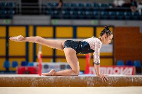 ALTRO - Ginnastica - Coppa Campioni - Ginnastica Artistica Maschile e Femminile