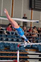 ALTRO - Ginnastica - Coppa Campioni - Ginnastica Artistica Maschile e Femminile