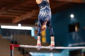 ALTRO - Ginnastica - Coppa Campioni - Ginnastica Artistica Maschile e Femminile