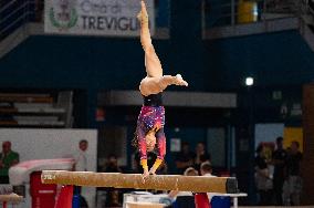 ALTRO - Ginnastica - Coppa Campioni - Ginnastica Artistica Maschile e Femminile