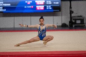 ALTRO - Ginnastica - Coppa Campioni - Ginnastica Artistica Maschile e Femminile