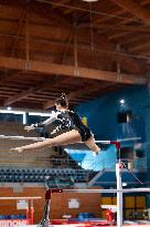 ALTRO - Ginnastica - Coppa Campioni - Ginnastica Artistica Maschile e Femminile