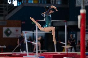 ALTRO - Ginnastica - Coppa Campioni - Ginnastica Artistica Maschile e Femminile