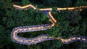 Mountain Trails in Fuzhou
