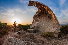 Illustration - Summer Activities