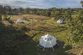 Illustration - Summer Activities