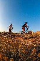 Illustration - Summer Activities