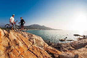 Illustration - Summer Activities