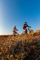 Illustration - Summer Activities