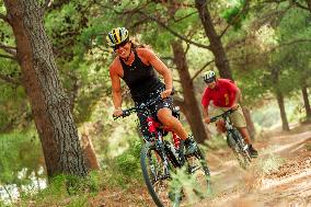 Illustration - Summer Activities