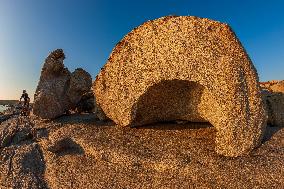 Illustration - Summer Activities