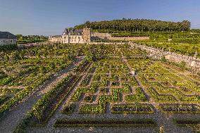 Illustration - Loire Valley