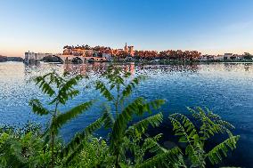 Illustration - Avignon