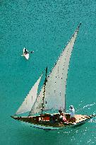 Illustration - Summer Activities