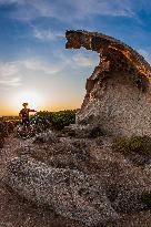 Illustration - Summer Activities