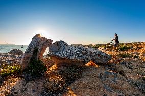 Illustration - Summer Activities