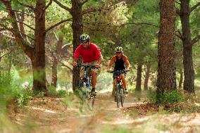 Illustration - Summer Activities