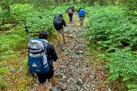 Illustration - Summer Activities