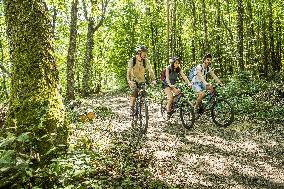 Illustration - Summer Activities