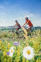 Illustration - Summer Activities