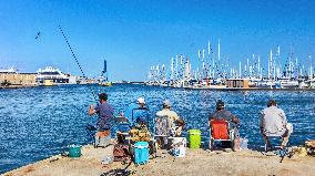 Illustration of the Town of Sete