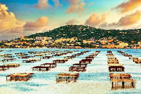 Illustration of the Town of Sete