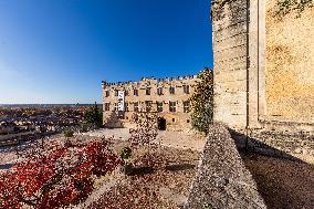 Illustration - Avignon