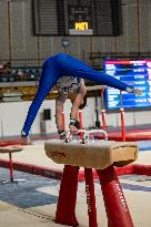 ALTRO - Ginnastica - Coppa Campioni - Ginnastica Artistica Maschile e Femminile