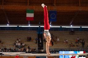 ALTRO - Ginnastica - Coppa Campioni - Ginnastica Artistica Maschile e Femminile