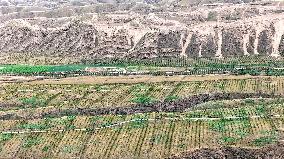 Ecological Construction in Western China
