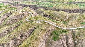 Ecological Construction in Western China