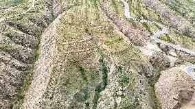 Ecological Construction in Western China