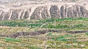 Ecological Construction in Western China