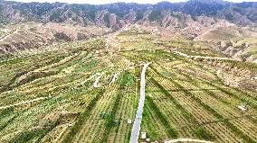Ecological Construction in Western China