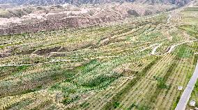Ecological Construction in Western China