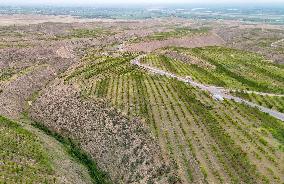 Ecological Construction in Western China