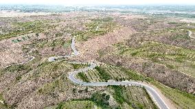 Ecological Construction in Western China