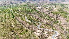 Ecological Construction in Western China