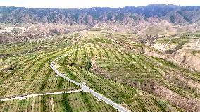 Ecological Construction in Western China