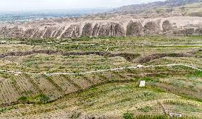 Ecological Construction in Western China