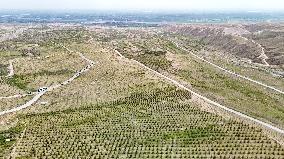 Ecological Construction in Western China