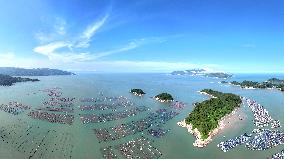 Oyster Farming in Ningde