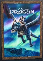 How To Train Your Dragon Premiere - LA