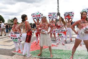 Gaza Protest By FEMEN At Trocadero - Paris
