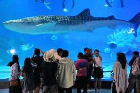 Marine Tourism Market