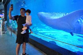 Marine Tourism Market